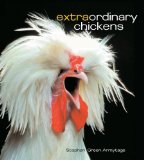 Extraordinary Chickens