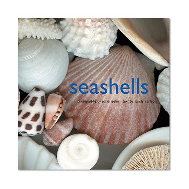 Book Cover Seashells