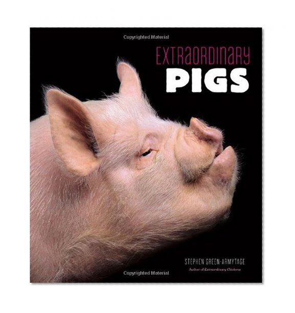 Book Cover Extraordinary Pigs