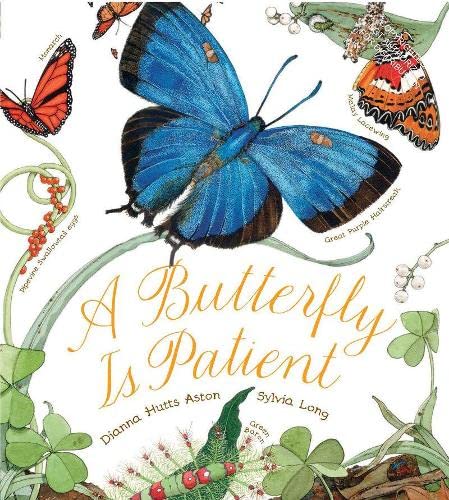 Book Cover A Butterfly Is Patient (Family Treasure Nature Encylopedias)