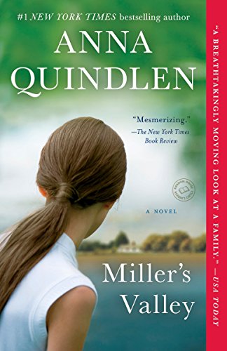 Book Cover Miller's Valley: A Novel