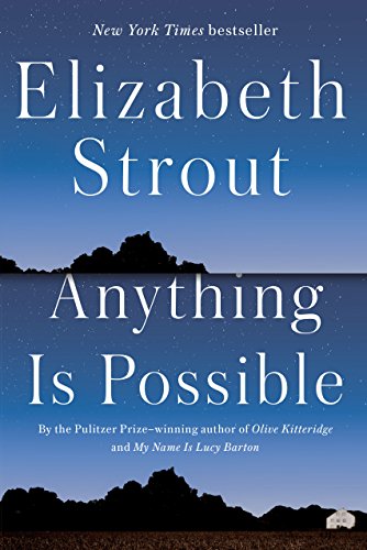 Book Cover Anything Is Possible: A Novel