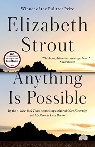 Book Cover Anything Is Possible: A Novel