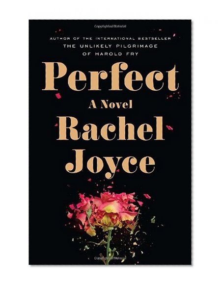 Book Cover Perfect: A Novel