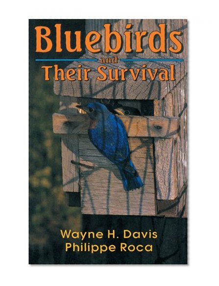 Bluebirds And Their Survival