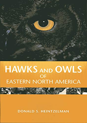 Hawks and Owls of Eastern North America