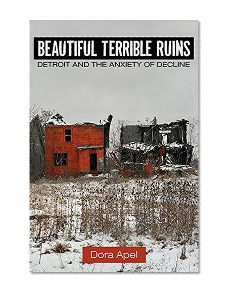 Book Cover Beautiful Terrible Ruins: Detroit and the Anxiety of Decline