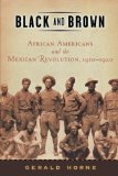 Black and Brown: African Americans and the Mexican Revolution, 1910-1920 (American History and Culture)