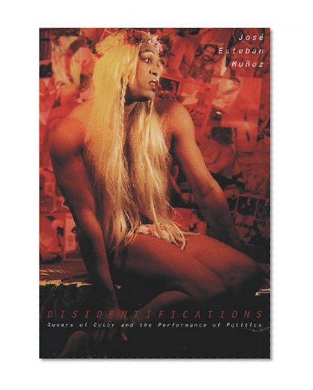 Book Cover Disidentifications: Queers Of Color And The Performance Of Politics (Cultural Studies of the Americas)