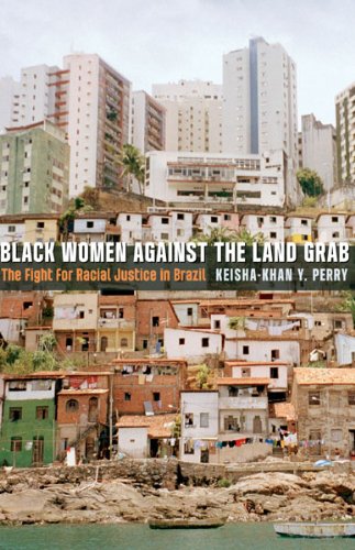 Book Cover Black Women against the Land Grab: The Fight for Racial Justice in Brazil