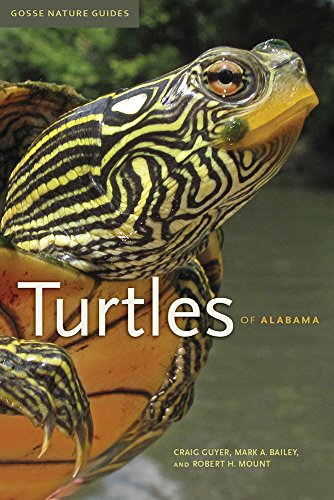 Book Cover Turtles of Alabama (Volume 5) (Gosse Nature Guides)