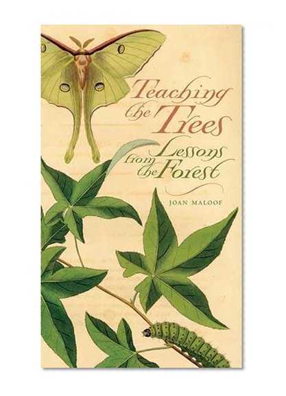 Teaching the Trees: Lessons from the Forest