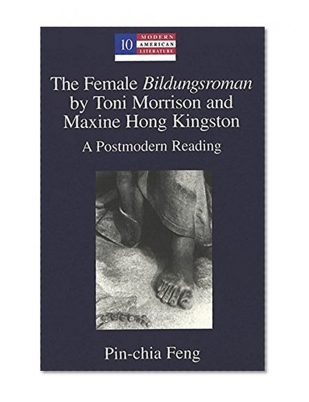 The Female <I>Bildungsroman</I> by Toni Morrison and Maxine Hong Kingston: A Postmodern Reading (Modern American Literature: New Approaches, 10)
