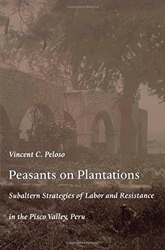 Peasants on Plantations: Subaltern Strategies of Labor and Resistance in the Pisco Valley, Peru (Latin America Otherwise)