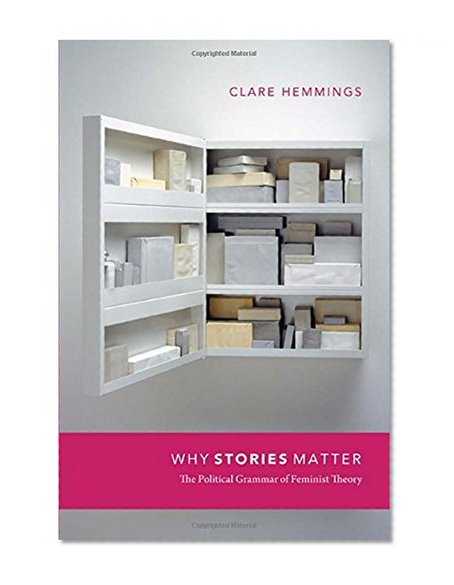 Why Stories Matter: The Political Grammar of Feminist Theory (Next Wave: New Directions in Women's Studies)