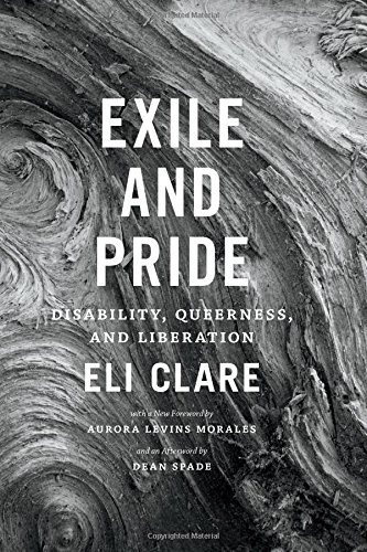 Book Cover Exile and Pride: Disability, Queerness, and Liberation