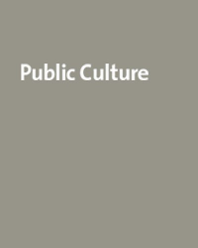 One Hundred Years of The Souls of Black Folk: A Celebration of W. E. B. Du Bois (Public Culture)