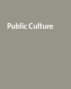 One Hundred Years of The Souls of Black Folk: A Celebration of W. E. B. Du Bois (Public Culture)