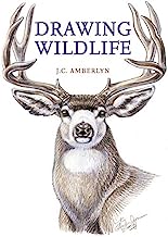 Book Cover Drawing Wildlife