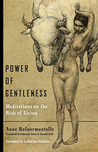 Book Cover Power of Gentleness: Meditations on the Risk of Living