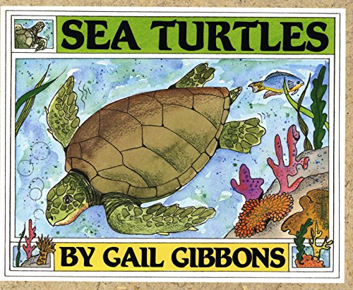 Book Cover Sea Turtles