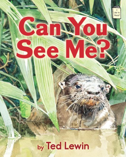 Can You See Me? (I Like to Read)