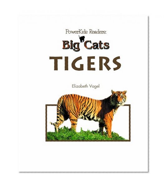 Tigers (Big Cats)