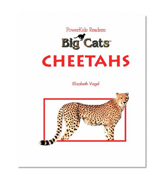 Cheetahs (Big Cats)