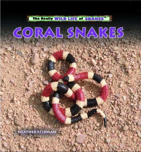 Coral Snakes (The Really Wild Life of Snakes)