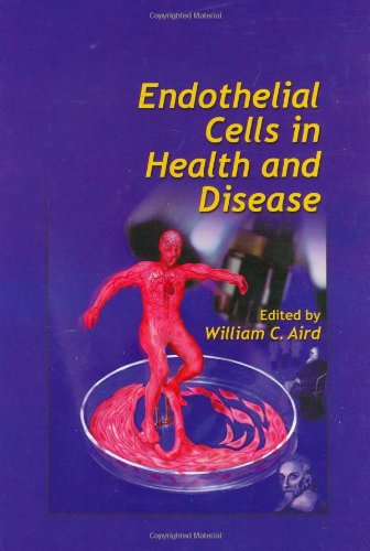 Endothelial Cells in Health and Disease