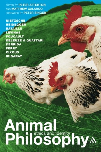 Animal Philosophy