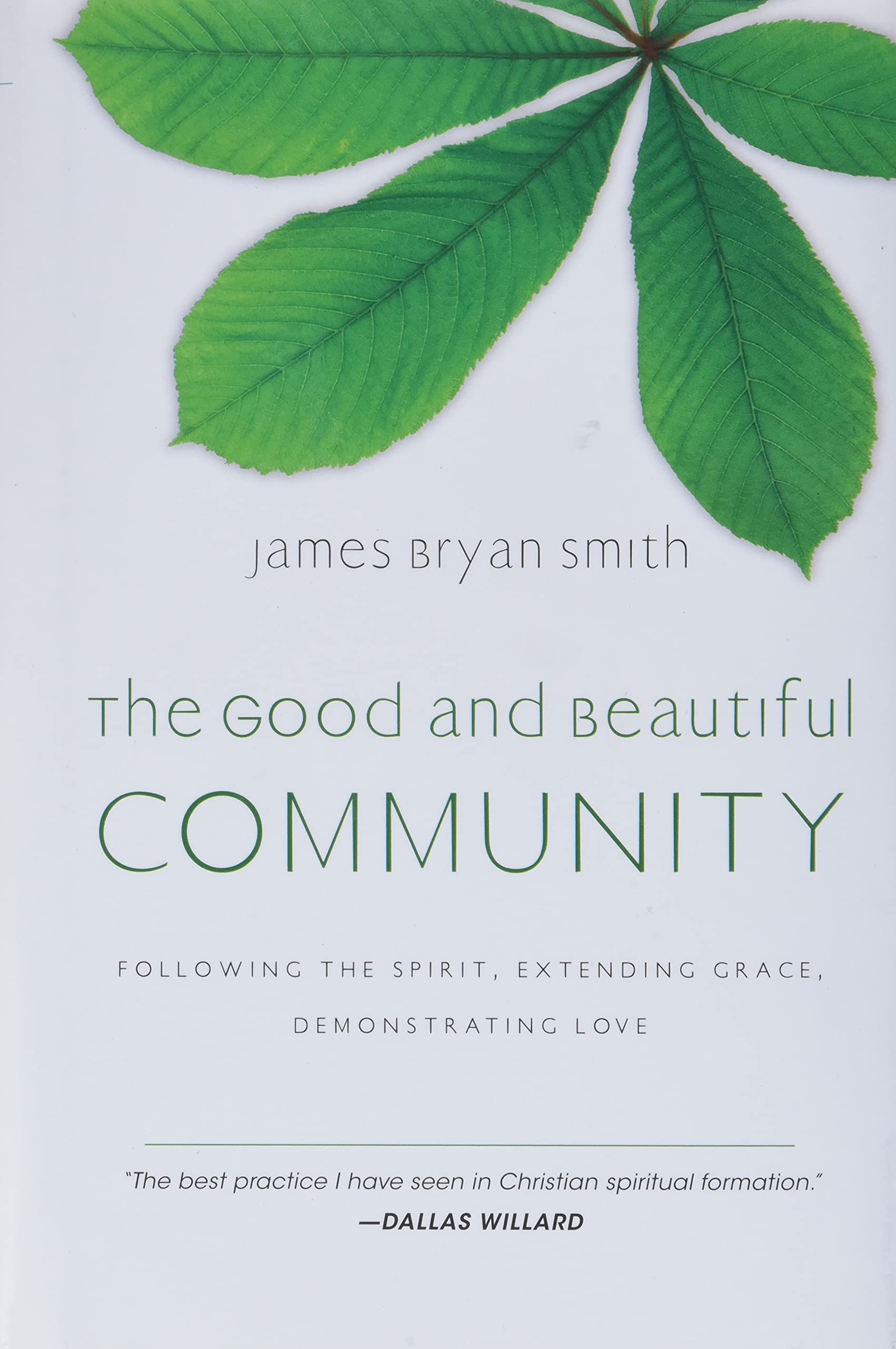 Book Cover The Good and Beautiful Community: Following the Spirit, Extending Grace, Demonstrating Love (The Good and Beautiful Series)