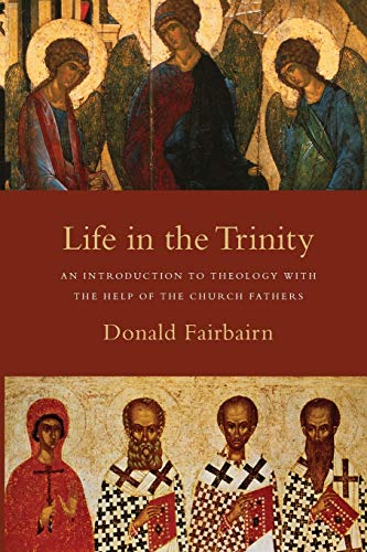Book Cover Life in the Trinity: An Introduction to Theology with the Help of the Church Fathers