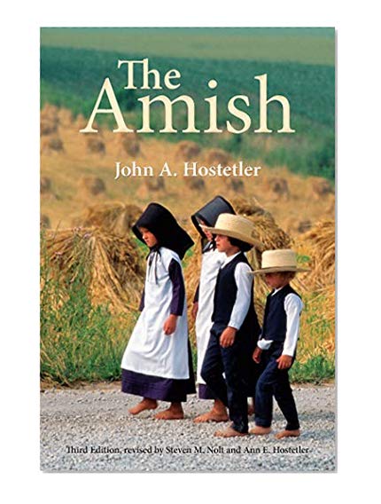Book Cover The Amish