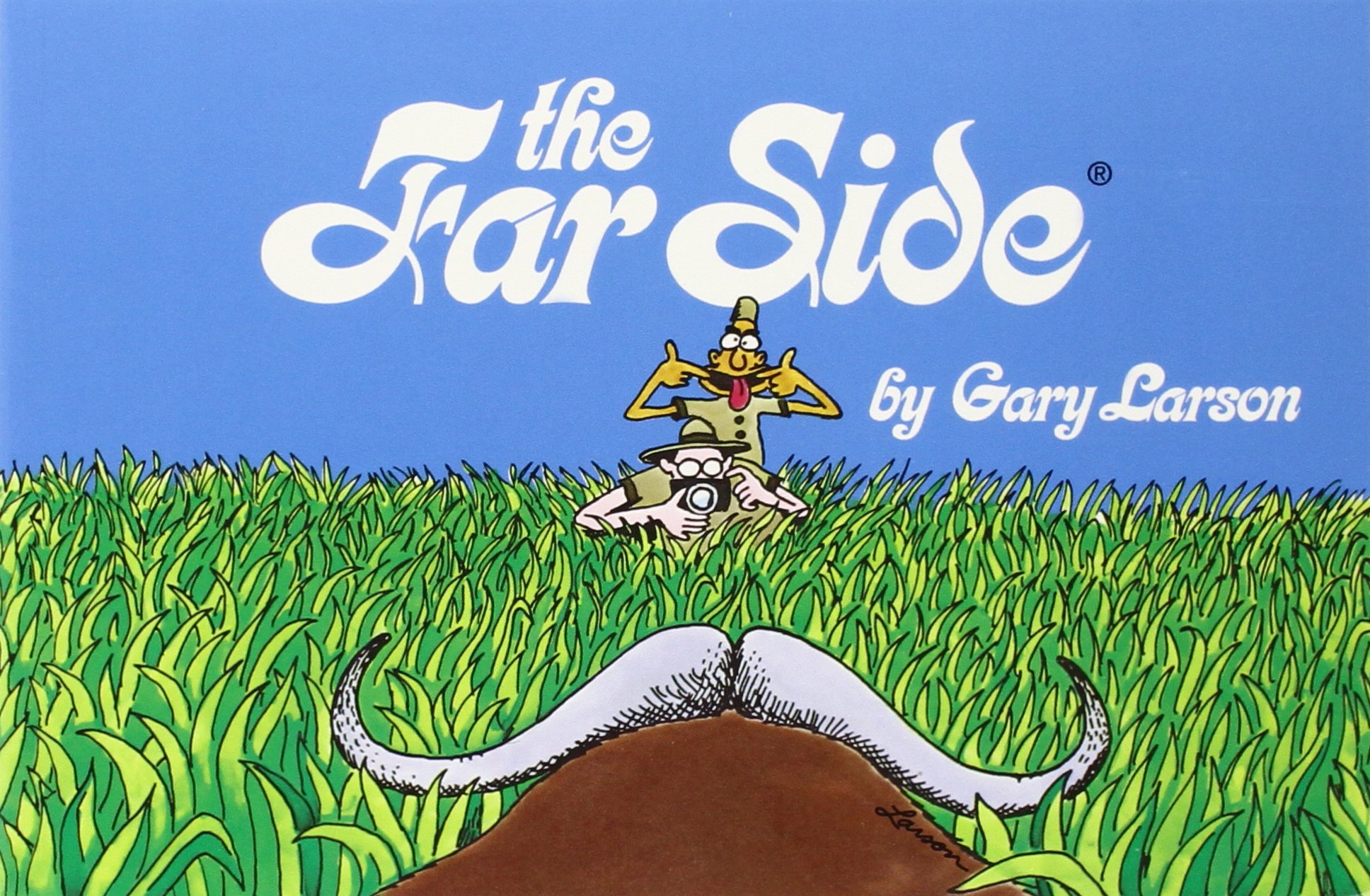 Book Cover The Far Side®