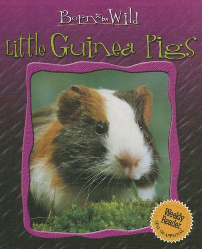 Little Guinea Pigs (Born to Be Wild)