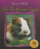 Little Guinea Pigs (Born to Be Wild)