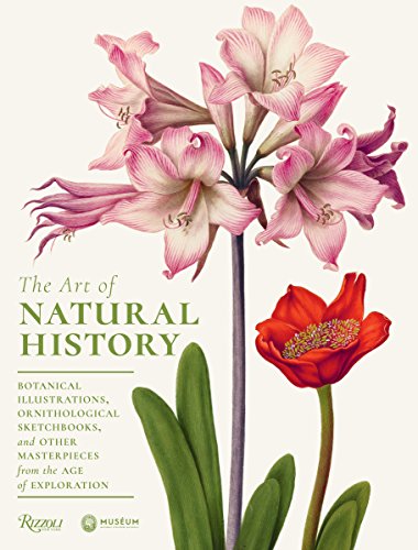 Book Cover The Art of Natural History: Botanical Illustrations, Ornithological Drawings, and Other Masterpieces from the Age of Exploration