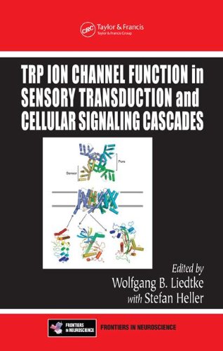 TRP Ion Channel Function in Sensory Transduction and Cellular Signaling Cascades (Frontiers in Neuroscience)