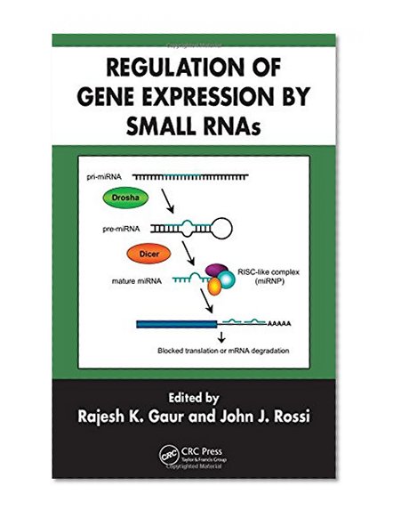 Regulation of Gene Expression by Small RNAs