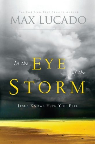 Book Cover In the Eye of the Storm