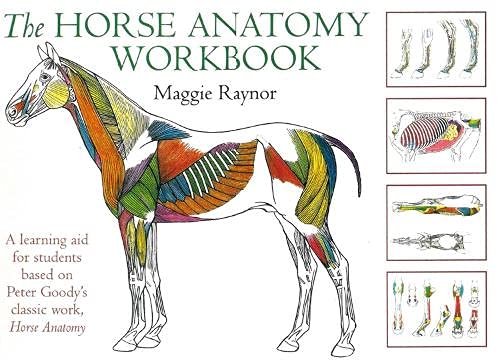 Book Cover The Horse Anatomy Workbook