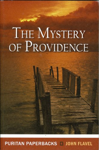 Book Cover Mystery of Providence (Puritan Paperbacks)