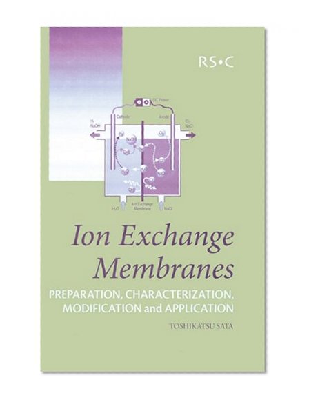 Ion Exchange Membranes: Preparation, Characterization, Modification and Application