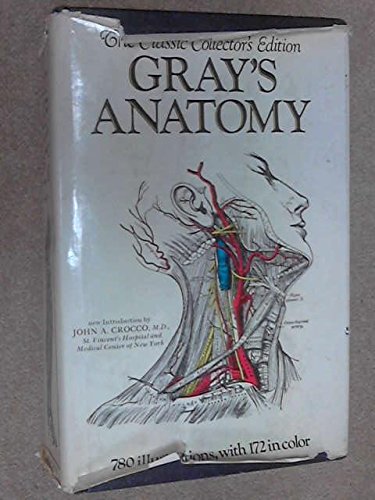 Anatomy, Descriptive and Surgical