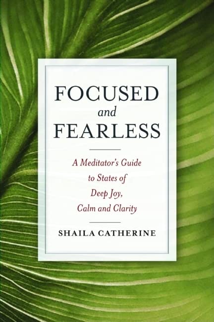 Book Cover Focused and Fearless: A Meditator's Guide to States of Deep Joy, Calm, and Clarity