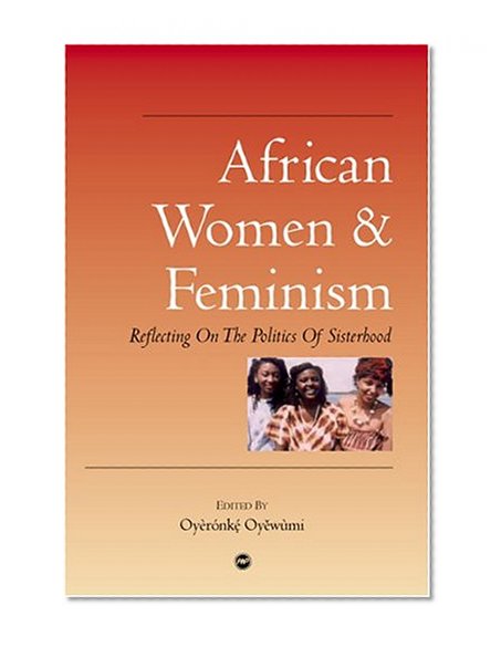 African Women and Feminism: Reflecting on the Politics of Sisterhood