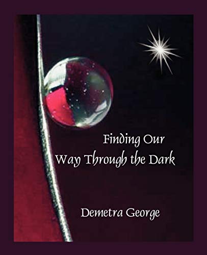 Book Cover Finding our Way through the Dark (2008)