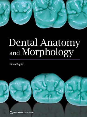 Book Cover Dental Anatomy and Morphology
