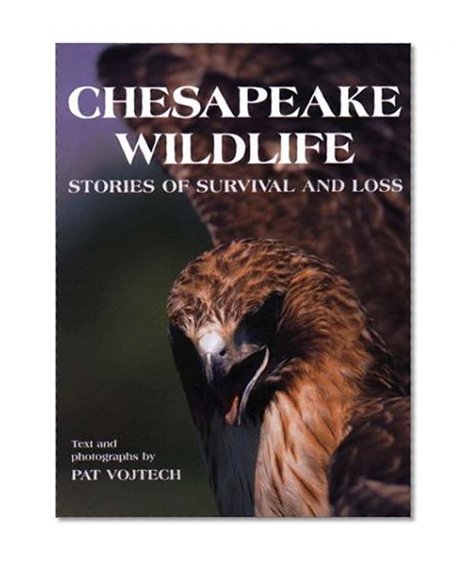 Chesapeake Wildlife: Stories of Survival and Loss